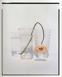 「YOSHIHIKO UEDA : FLOWERS / 著：上田義彦　文：伊藤俊治　装幀：葛西薫」画像4