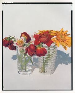 「YOSHIHIKO UEDA : FLOWERS / 著：上田義彦　文：伊藤俊治　装幀：葛西薫」画像5