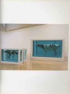 「Damien Hirst / ダミアン・ハースト　編：アン・ギャラガー」画像1