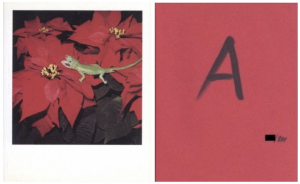 NOBUYOSHI ARAKI POLAEROID / Photo: Nobuyoshi Araki Edit: Hans Ulrich Obrist