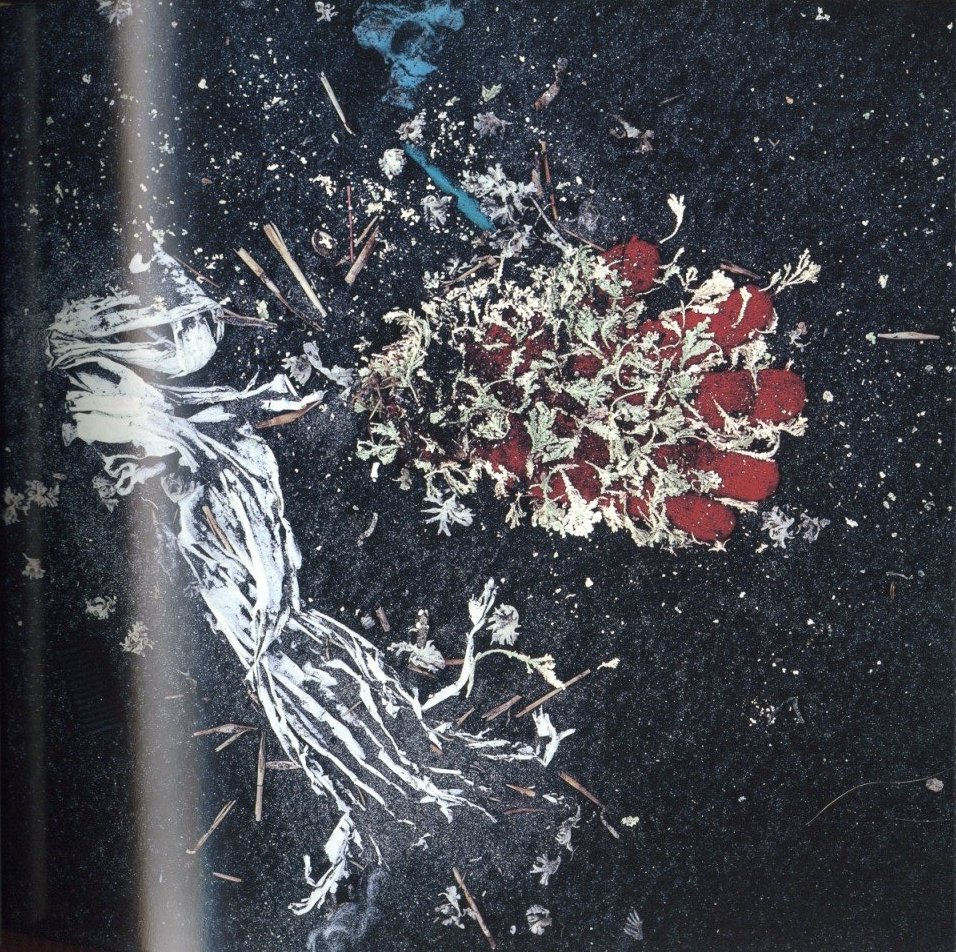VISIONS of JAPAN TOMATSU Shomei / 著:東松照明 監修:伊藤俊治 ...
