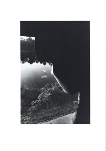 「THE SOMNAMBULIST / Ralph Gibson 」画像3