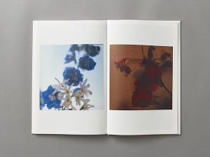 「Lost Time / 著: 髙橋恭司　AD: クリストフ・ブルンケル」画像4