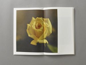 「Lost Time / 著: 髙橋恭司　AD: クリストフ・ブルンケル」画像5