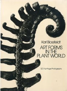 ART FORMS IN THE PLANT WORLD／写真：カール・ブロスフェルト（ART FORMS IN THE PLANT WORLD／Photo: Karl Blossfeldt)のサムネール