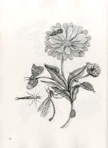 「FLOWERS, BUTTERFLIES, AND INSECTS All 154 Engravings from 