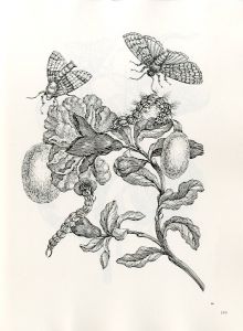 「FLOWERS, BUTTERFLIES, AND INSECTS All 154 Engravings from 