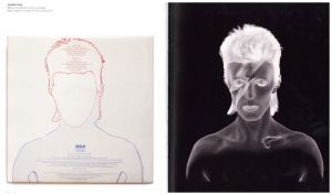 「Duffy Bowie / Author:Kevin Cann,Chris Duffy」画像2