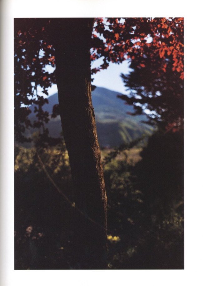 LANA / Terri Weifenbach | 小宮山書店 KOMIYAMA TOKYO | 神保町