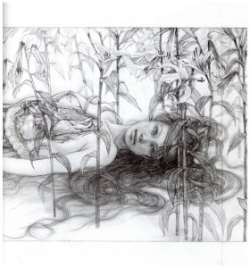 「松井冬子画集　[一、ニ] / 松井冬子」画像3