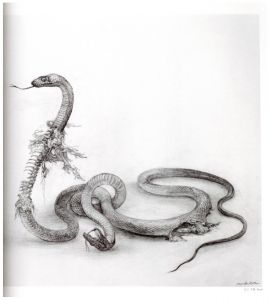 「松井冬子画集　[一、ニ] / 松井冬子」画像4