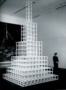 「SOL LEWITT　A Retrospective / Author: Sol Lewitt　Edit: Gary Garrels」画像4