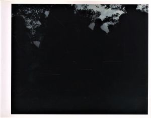 「Dazaifu / 春木麻衣子」画像4