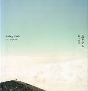 鳥を見る／野口里佳（Seeing Birds／Rika Noguchi)のサムネール