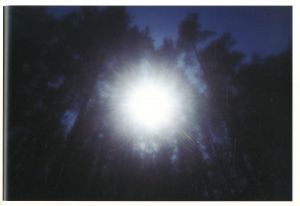 「太陽 / 著：野口里佳　デザイン：中島英樹」画像7