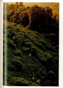 「Ryan McGinley　Way Far / Author: Ryan McGinley　Essay: David Rimanelli」画像4