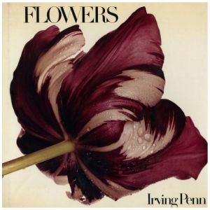 FLOWERS IRVING PENN／アーヴィング・ペン（FLOWERS IRVING PENN／Irving Penn)のサムネール