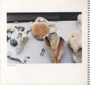 「Still Life / Author: Wolfgang Tillmans　Text: Benjamin Paul」画像5