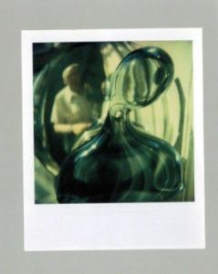 「Andre Kertesz: The Polaroids / Andre Kertesz」画像3
