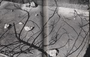 「無国籍地-1954 / 奈良原一高」画像2