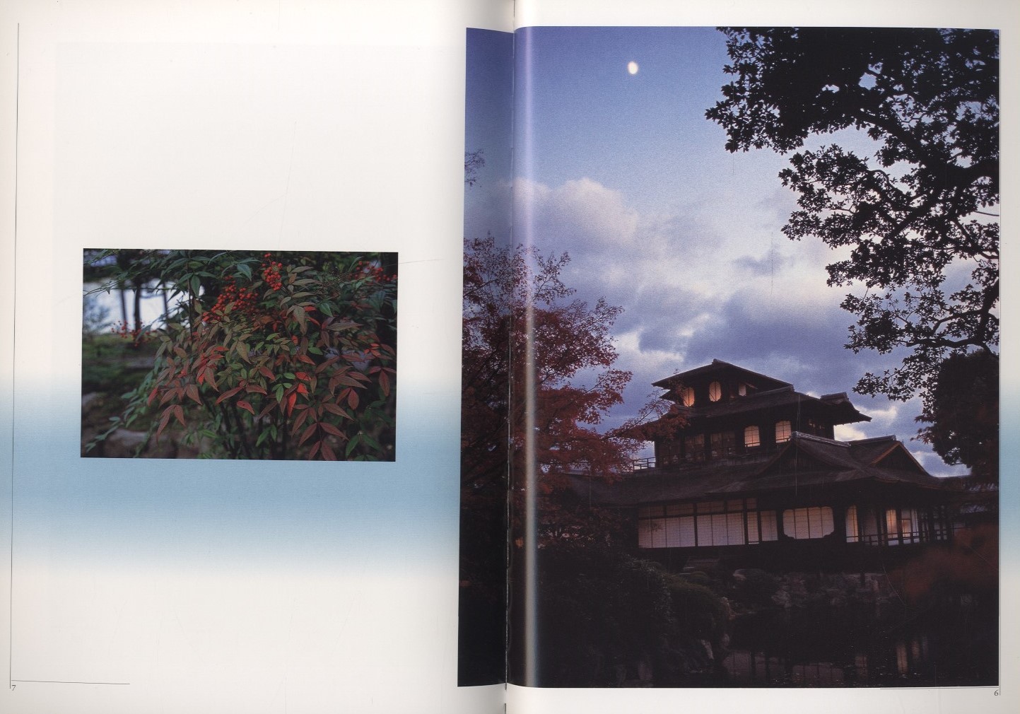 2024年のクリスマスの特別な衣装 / 飛雲閣ものがたり 写真：荒木経惟 KOMIYAMA 小宮山書店 | 和書