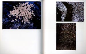 「東松照明写真展　インターフェイス / 写真：東松照明　序論：増田玲」画像4