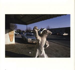 「WILLIAM EGGLESTON CHROMES / William Eggleston」画像6