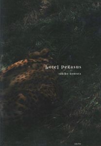 hotel pegasusのサムネール