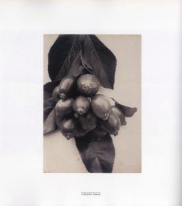 「PLANT KINGDOMS: THE PHOTOGRAPHS OF CHARLES JONES / Photo: Charles Jones　Author: Sean Sexton, Robert Flynn Johnson」画像6