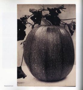 「PLANT KINGDOMS: THE PHOTOGRAPHS OF CHARLES JONES / Photo: Charles Jones　Author: Sean Sexton, Robert Flynn Johnson」画像3