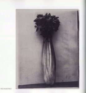 「PLANT KINGDOMS: THE PHOTOGRAPHS OF CHARLES JONES / Photo: Charles Jones　Author: Sean Sexton, Robert Flynn Johnson」画像2