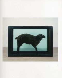 「Damien Hirst / ダミアン・ハースト　編：アン・ギャラガー」画像3