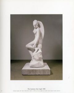 「Damien Hirst / ダミアン・ハースト　編：アン・ギャラガー」画像2