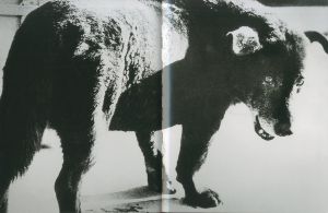 「DAIDO MORIYAMA　Fondation Cartier pour l'art contemporain / Daido Moriyama」画像2