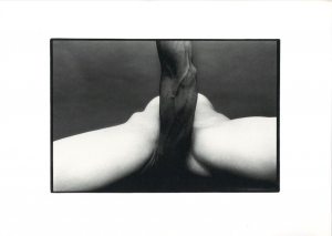 細江英公　展覧会のための写真集「抱擁」と「薔薇刑」のサムネール