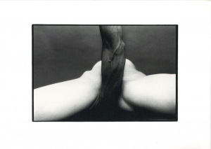 細江英公　展覧会のための写真集「抱擁」と「薔薇刑」／細江英公（EIKOH HOSOE：Embrace and Ordeal By Roses／Eikoh Hosoe)のサムネール