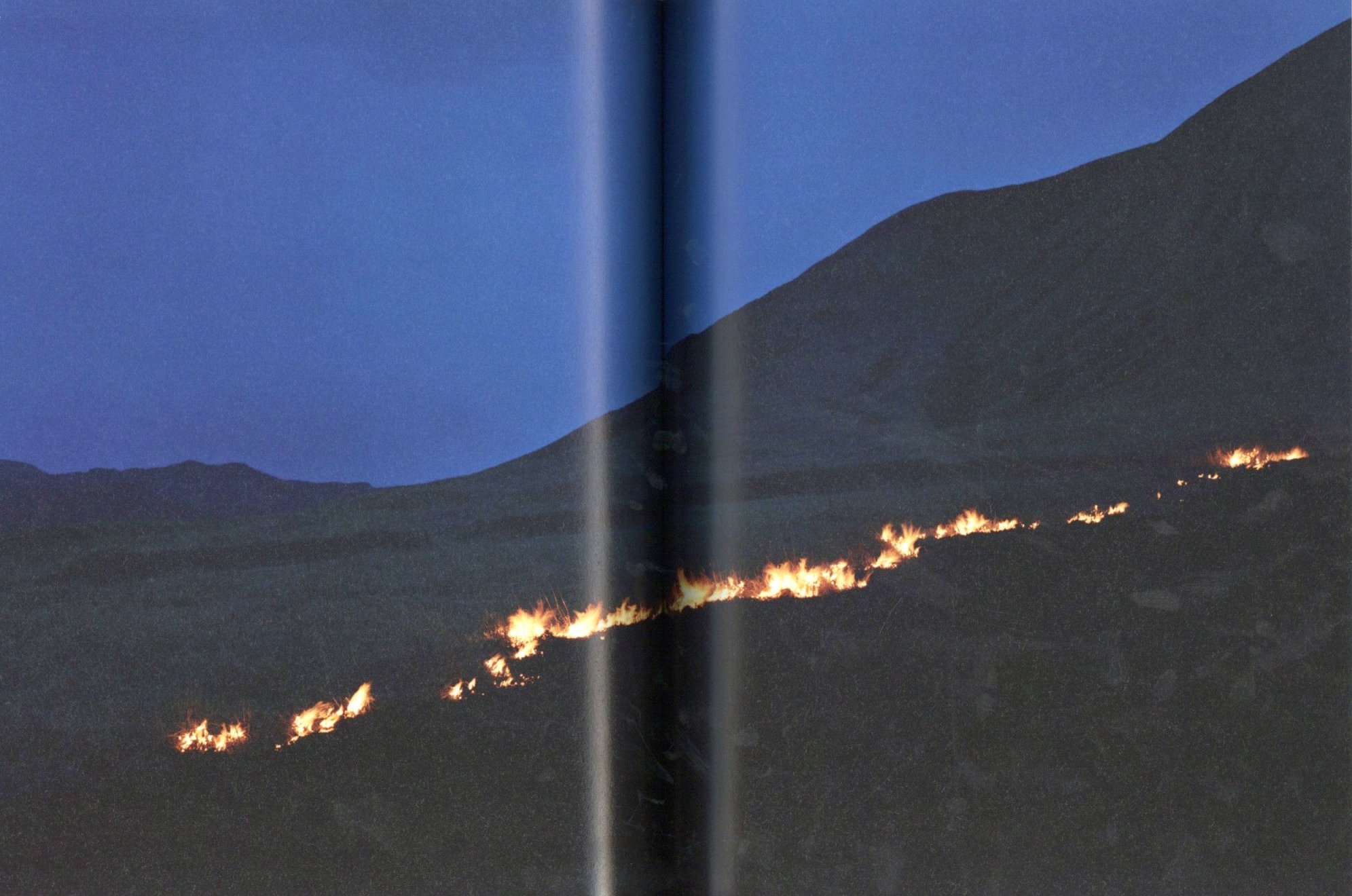 Rinko Kawauchi – 川内倫子 | あめつち