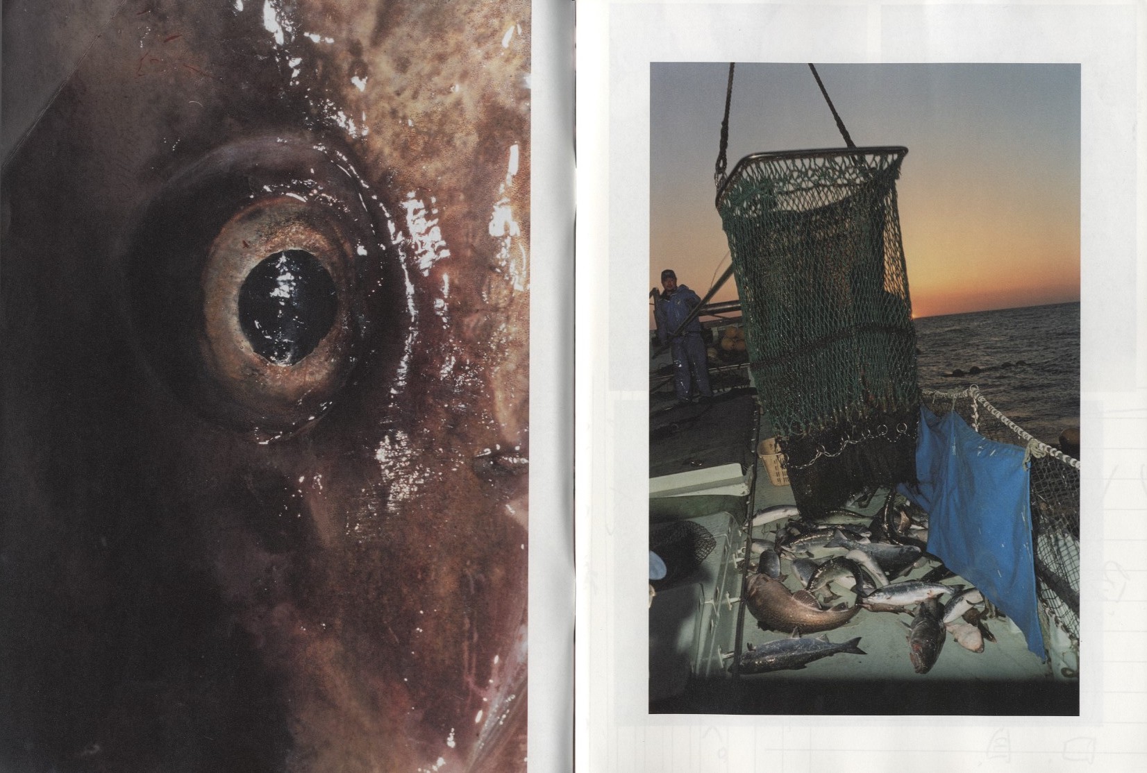 田附勝: 魚人 | Tatsuki Masaru: Fish-Man (SIGNED) - BOOK OF