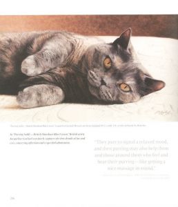 「CATICONS　4,000 Years of Art Imitating Cats / Author: Sandy Lerner」画像6