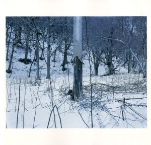 「M.09 trails Takashi Homma / 著：ホンマタカシ」画像1