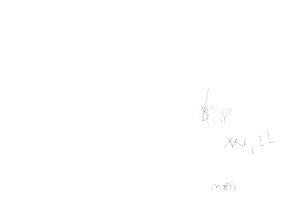 「マーク・ボスウィック　オリジナルプリント・ポラロイド2枚セット / マーク・ボスウィック」画像1