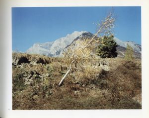 「Landscape A / Nicolas Faure」画像1