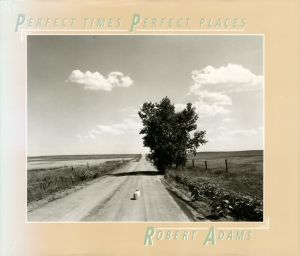 PERFECT TIMES　PERFECT PLACES／ロバート・アダムス（PERFECT TIMES　PERFECT PLACES／Robert Adams)のサムネール