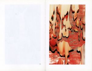 「Abstract Painting 825-II　69 Details / Gerhard Richter」画像2
