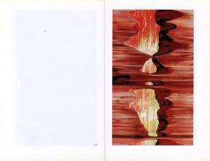 「Abstract Painting 825-II　69 Details / Gerhard Richter」画像3