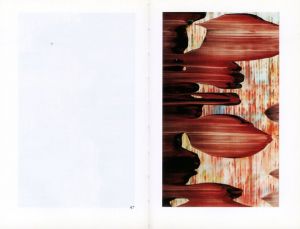 「Abstract Painting 825-II　69 Details / Gerhard Richter」画像5