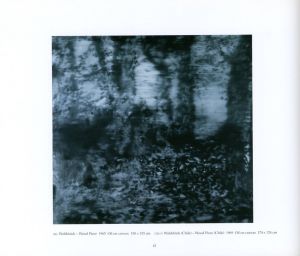 「Gerhard Richter　Landscapes / Gerhard Richter」画像1