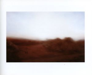 「Gerhard Richter　Landscapes / Gerhard Richter」画像5