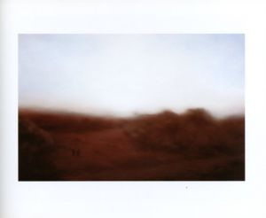 「Gerhard Richter　Landscapes / Gerhard Richter」画像5