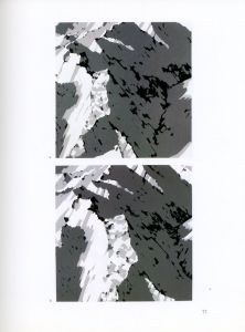 「GERHARD RICHTER EDITIONEN 1965-1993 / Gerhard Richter」画像2